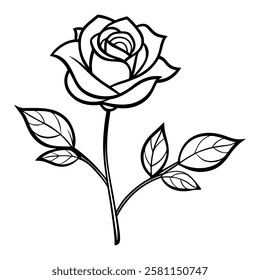 Rose Flowers. Happy Valentine's day .