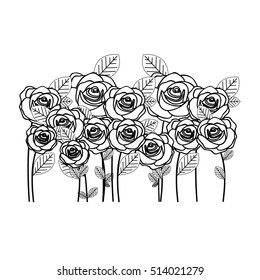 rose flowers icon image 