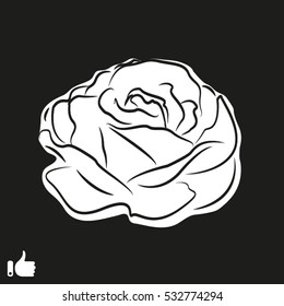 rose, flowers, icon, vector illustration EPS 10