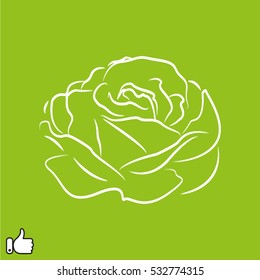 rose, flowers, icon, vector illustration EPS 10