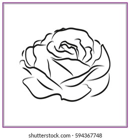 rose, flowers, icon, vector illustration eps10