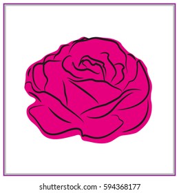 rose, flowers, icon, vector illustration eps10