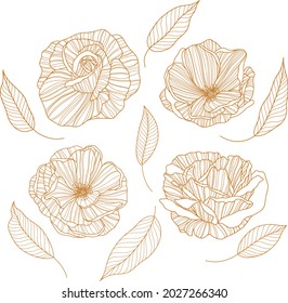 Rose flowers. Isolated on white. Hand drawn line vector illustration. Eps 10