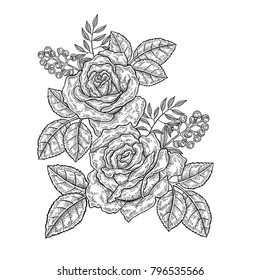 Rose flowers and leaves in vintage style. Hand drawn botanical vector illustration. Floral design elements