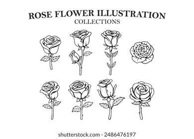 rose flowers line art illustration set designs. hand drawn of rose flowers outline icons for boutique, florist business. floral rose flower feminine elegant elements for logo, wall art, poster, prints