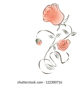  Rose flowers on white background. Vector