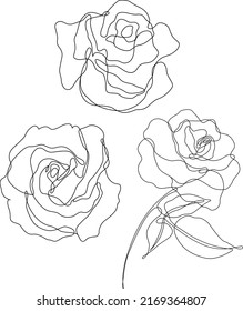 Rose flowers outline vector. Set of hand drawn sketches. Line Ink drawing. Eps 10