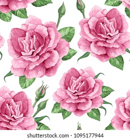 Watercolor Peony Succulent Ranunculus Floral Set Stock Illustration ...