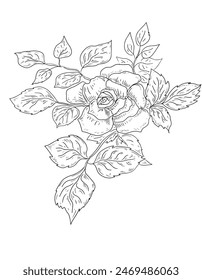 Rose flowers plants graphics hand drawn line engraving tattoo on a white background separately