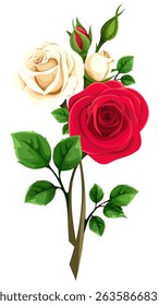 Rose flowers. Red and white rose flowers with stems isolated on a white background. Rose branch. Vector illustration. Hand-drawn illustration, not AI