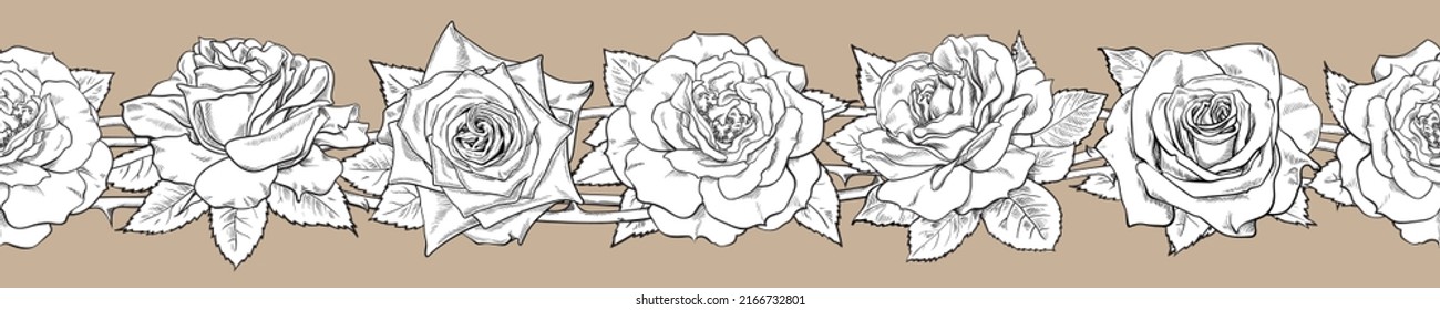 702 Rose thorn border Stock Vectors, Images & Vector Art | Shutterstock