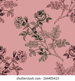 Rose flowers seamless pattern on pink background vector illustration