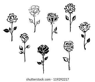 Rose flowers set isolated on white background for holiday or retro design, such a logo template. Jpeg version also available in gallery