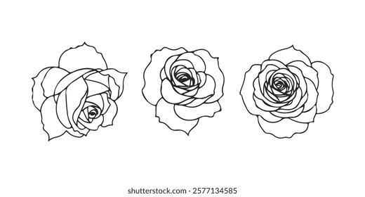 Rose Flowers Set Line Drawing Black Sketch Isolated on White Background. Line Art Floral Design. Abstract Line Drawing of Flowers of Roses. Stylized Botanical Vector Illustration