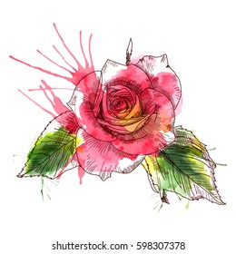 A Rose flowers. Texture background watercolor effect. Hand drawn sketch. Vector illustration isolated on white background. A template for the design.