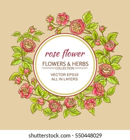 rose flowers vector frame on color background
