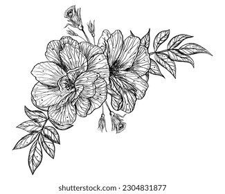 Rose Flowers vector illustration in outline style. Hand drawn floral drawing painted by black inks for greeting cards or wedding invitations. Botanical sketch in line art style. Monochrome bouquet.