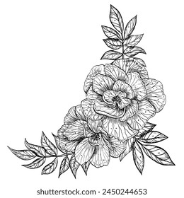 Rose Flowers vector illustration in outline style. Hand drawn floral drawing painted by black inks for greeting cards or wedding invitations. Botanical sketch in line art style. Monochrome bouquet.