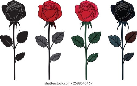 Rose Flowers Vector Illustration, Set of Four Roses on White Background