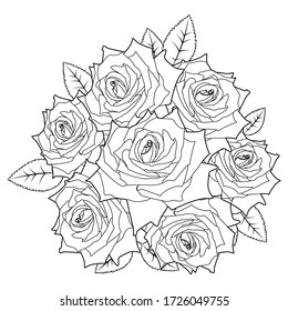 Rose flowers vector line art for romantic floral illustration. Black contour outline sketch isolated on white background. Stroke without fill. Cower drawing. Black-white icon. Wedding invitation.