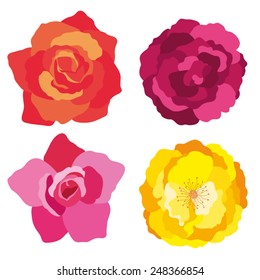 Rose flowers vectors.