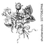 Rose flowers vintage Baroque Victorian garden wild floral ornament frame border bouquet scroll bunch engraved retro decorative tattoo black and white filigree vector 