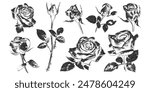 Rose flowers with vintage stipple effect, y2k coquette collage design. Monochrome photocopy retro design rosebud elements. Vector illustration for romantic grunge gothic surreal poster