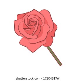 Rose, flowersCan be use for banner, infographics. Flat style vector illustration isolated on background. Vector illustration