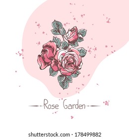 rose garden