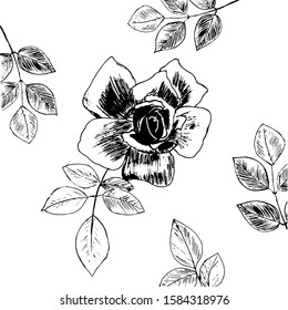 A rose with gel pen handdrawn leaves can be used as a black and white background for poems, as a logo or label. Theme fashion-nature, ecology.