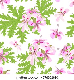 Rose Geranium theme. Seamless pattern vector. Elegant and vivid. Pelargonium Graveolens. Blossoming pink flowers on a green branch. for poster, spa, cosmetics, health care, prints, textile, decoration