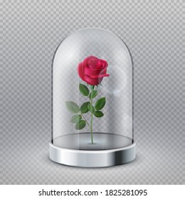 Rose In Glass Dome. Isolated Beautiful Red Flower Under Transparent Flask. Fairy Tale Symbol, Beauty Interior Decoration Vector Illustration