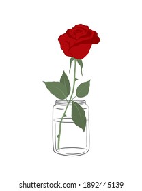 Rose in a glass jar. Red flower with green leaves on a white background. Summer flowers. Floral composition. Vector illustration