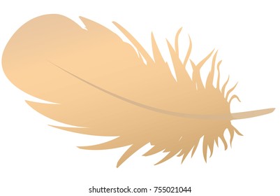 Rose Gold Copper Bird Feather Vector 