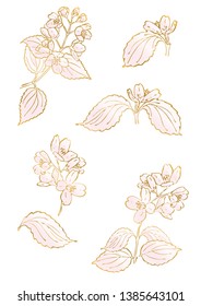 Rose and gold floral elements. Good for wedding invitation, background, brochure or wrapping paper design. Vector