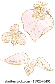 Rose and gold floral elements. Good for wedding invitation, background, brochure or wrapping paper design. Vector