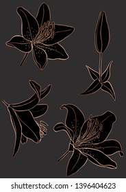 Rose gold floral elements. Good for wedding invitation, background, brochure or wrapping paper design. Vector