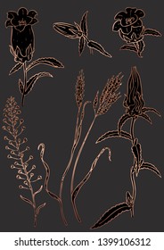 Rose gold floral elements. Good for wedding invitation, background, brochure or wrapping paper design. Vector