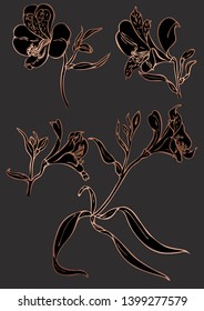 Rose gold floral elements. Good for wedding invitation, background, brochure or wrapping paper design. Vector