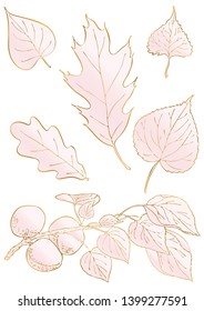 Rose and gold floral elements. Good for wedding invitation, background, brochure or wrapping paper design. Vector