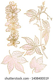 Rose and gold floral elements. Good for wedding invitation, background, brochure or wrapping paper design. Vector