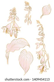 Rose and gold floral elements. Good for wedding invitation, background, brochure or wrapping paper design. Vector