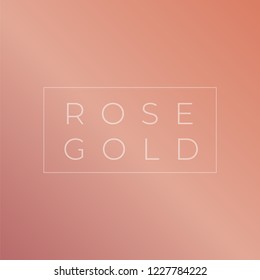 Rose gold gradient collection. Rose gold vector background