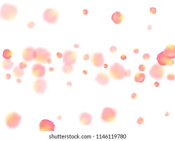 Rose gold petals flying cosmetics vector background. Fresh showering flower blooming parts vector. Pink gold petals falling invitation background. Valentine or natural cosmetics design.