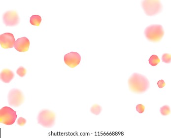 Rose gold petals flying cosmetics vector background. Delicate showering flower bloom parts vector. Pink gold petals falling invitation background. Birthday or natural cosmetics design.