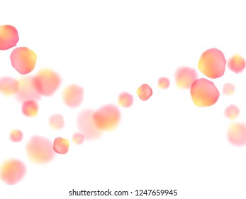 Rose gold petals flying cosmetics vector background. Elegant 3d flower parts shower isolated on white. Pink gold petals falling invitation background. Birthday or natural cosmetics design.