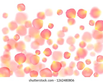 Rose gold petals flying cosmetics vector background. Idyllic 3d flower parts shower isolated on white. Pink gold petals falling invitation background. Anniversary or natural cosmetics design.