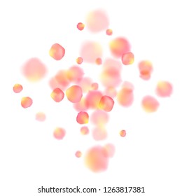 Rose gold petals flying cosmetics vector background. Delicate showering flower blooming parts vector. Pink gold petals falling invitation background. Birthday or natural cosmetics design.