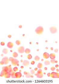 Rose gold petals flying cosmetics vector background. Airy 3d flower parts shower isolated on white. Pink gold petals falling invitation background. Wedding invitation or natural cosmetics design.