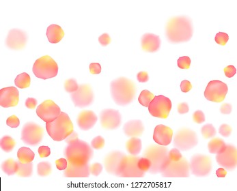 Rose gold petals flying cosmetics vector background. Abstract showering flower blossom parts vector. Pink gold petals falling invitation background. Anniversary or natural cosmetics design.